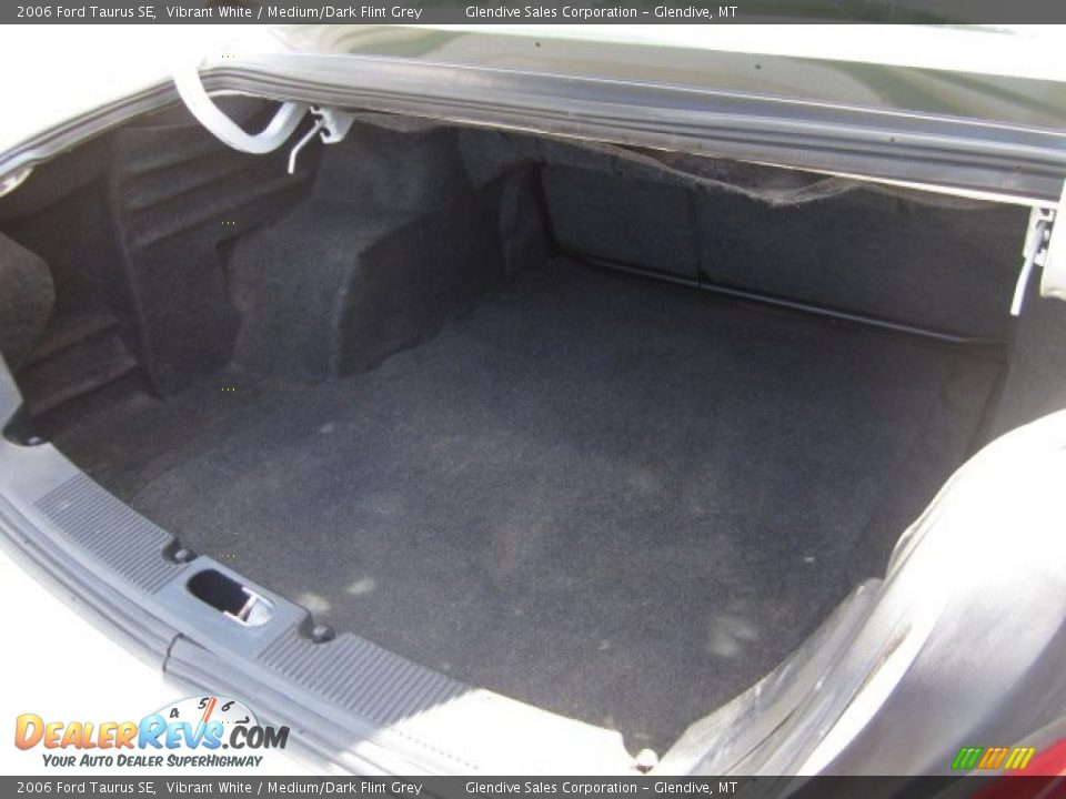 2006 Ford Taurus SE Vibrant White / Medium/Dark Flint Grey Photo #6