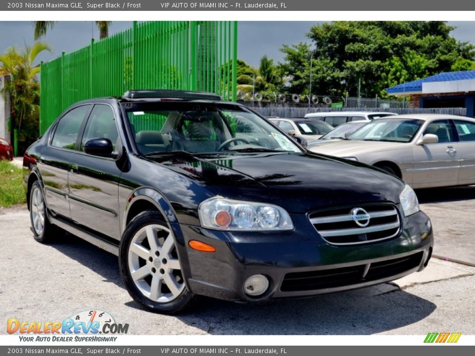 2003 Nissan Maxima GLE Super Black / Frost Photo #1