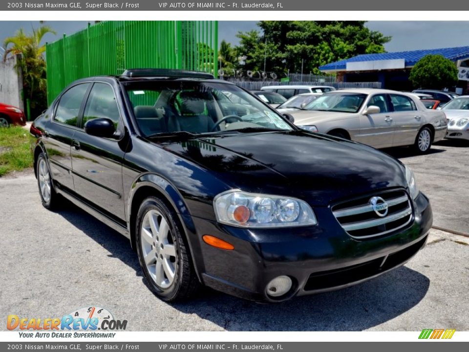 2003 Nissan Maxima GLE Super Black / Frost Photo #4