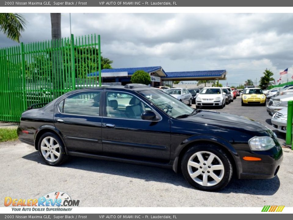 2003 Nissan Maxima GLE Super Black / Frost Photo #6