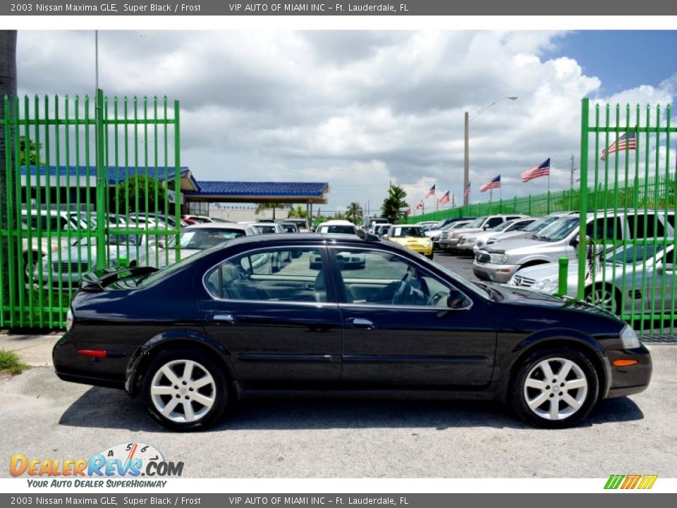 2003 Nissan Maxima GLE Super Black / Frost Photo #8