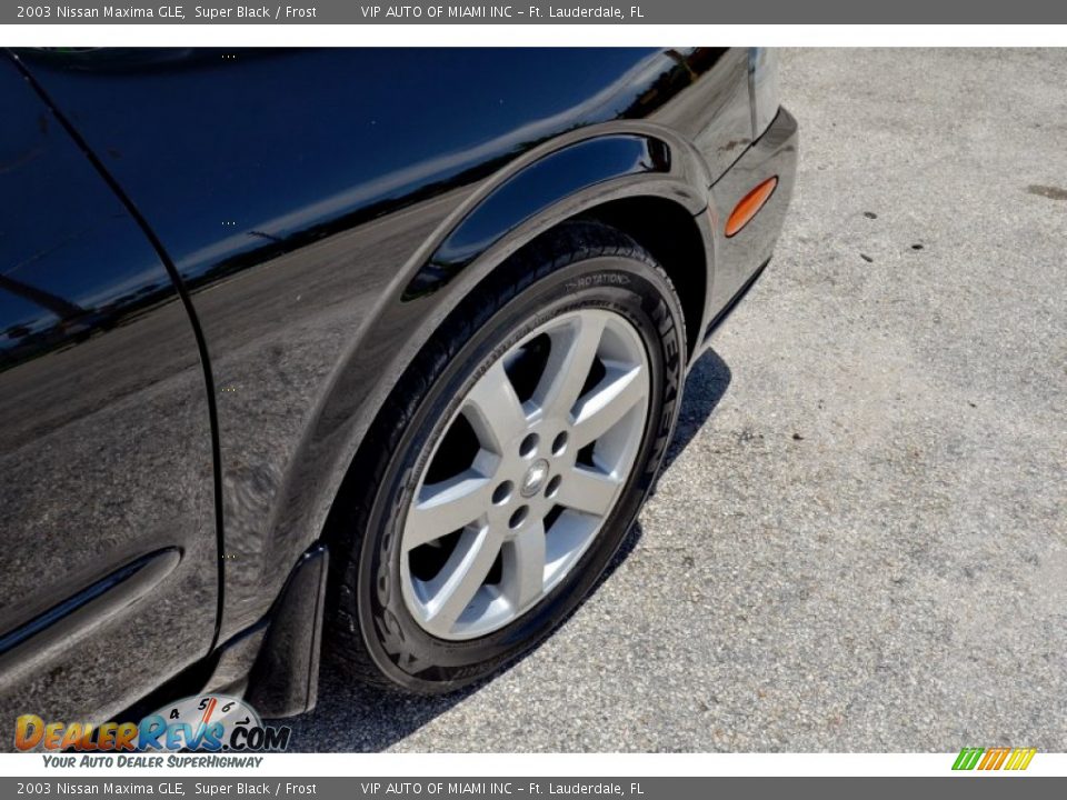 2003 Nissan Maxima GLE Super Black / Frost Photo #13
