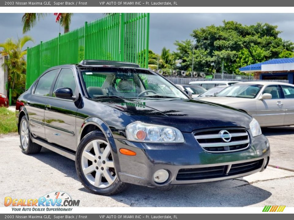 2003 Nissan Maxima GLE Super Black / Frost Photo #34