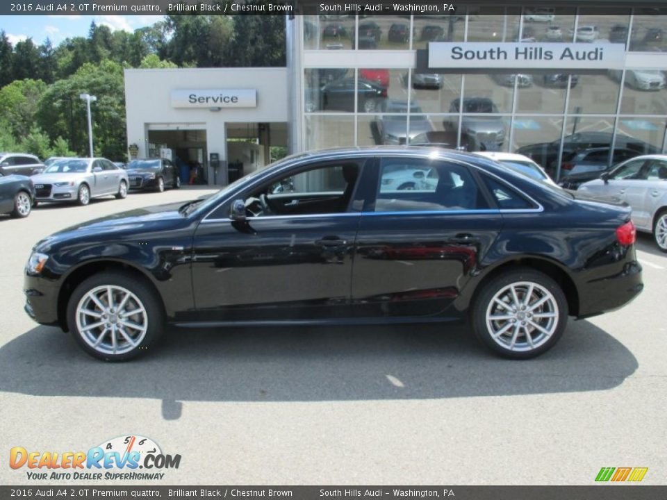 2016 Audi A4 2.0T Premium quattro Brilliant Black / Chestnut Brown Photo #2