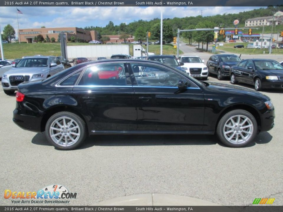 2016 Audi A4 2.0T Premium quattro Brilliant Black / Chestnut Brown Photo #10
