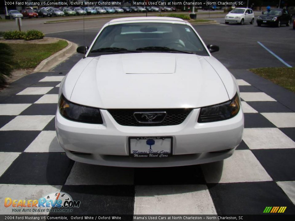 2004 Ford Mustang V6 Convertible Oxford White / Oxford White Photo #8