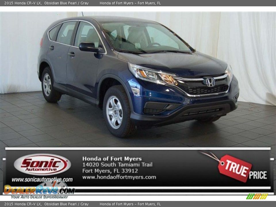 2015 Honda CR-V LX Obsidian Blue Pearl / Gray Photo #1