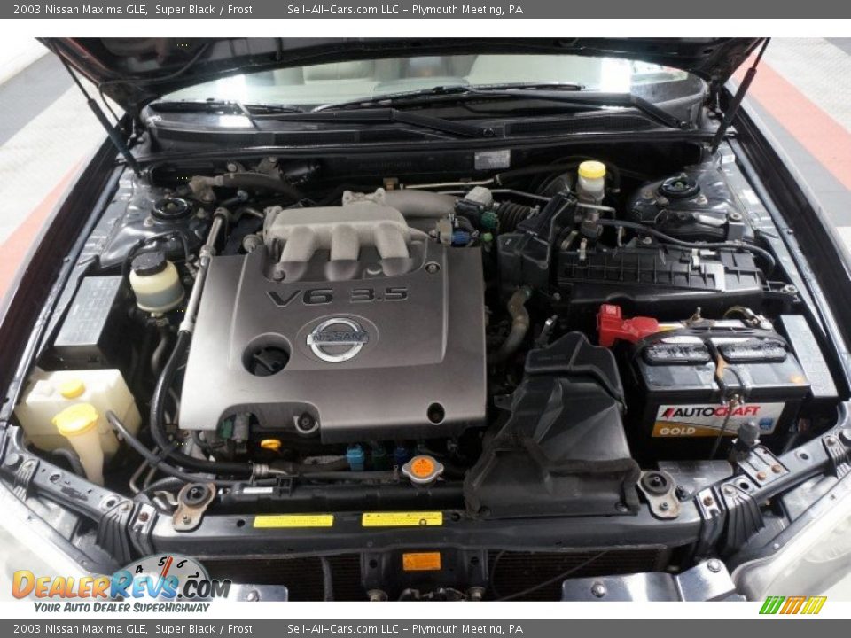 2003 Nissan Maxima GLE Super Black / Frost Photo #33