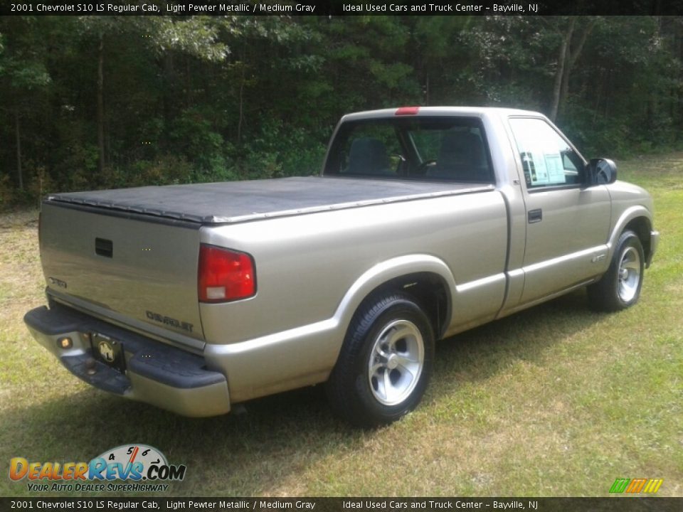2001 Chevrolet S10 LS Regular Cab Light Pewter Metallic / Medium Gray Photo #5