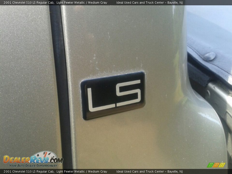 2001 Chevrolet S10 LS Regular Cab Light Pewter Metallic / Medium Gray Photo #10