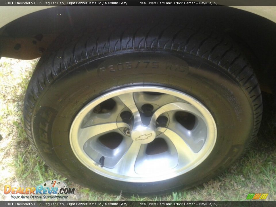 2001 Chevrolet S10 LS Regular Cab Light Pewter Metallic / Medium Gray Photo #25