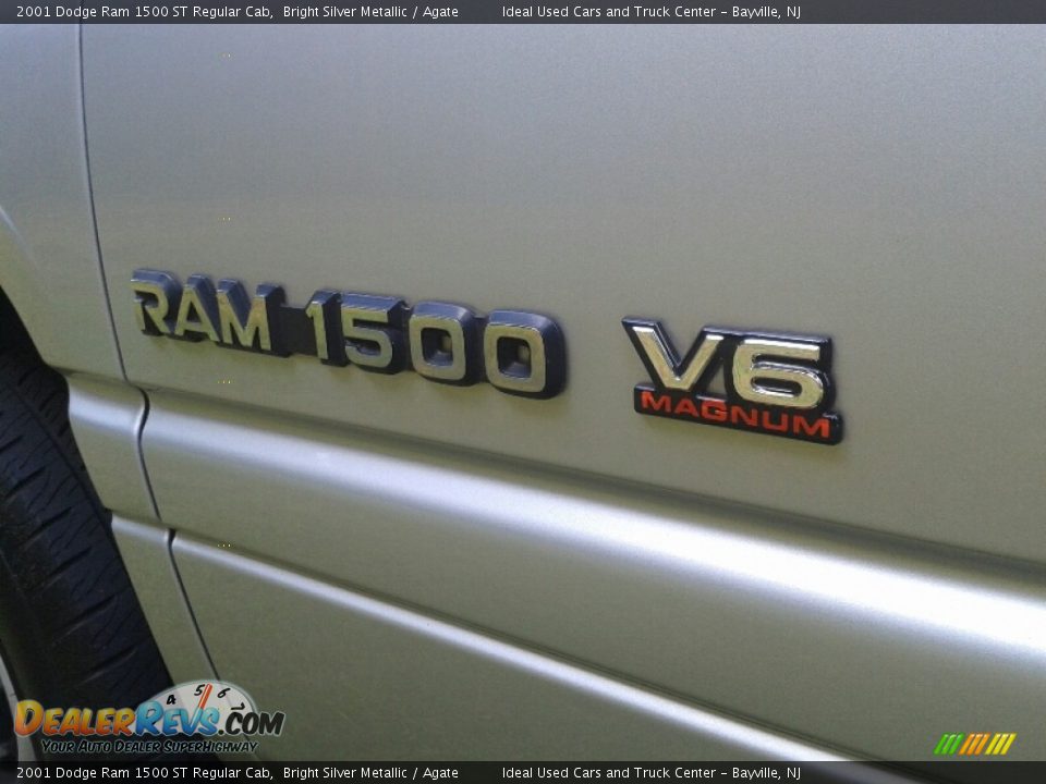 2001 Dodge Ram 1500 ST Regular Cab Logo Photo #10