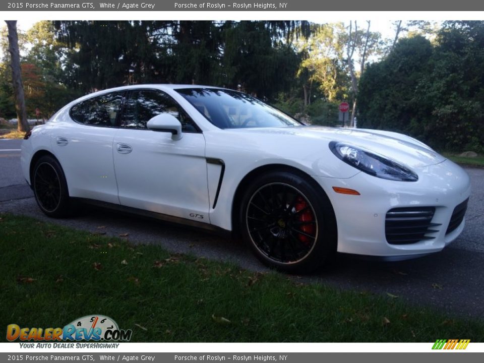 2015 Porsche Panamera GTS White / Agate Grey Photo #8