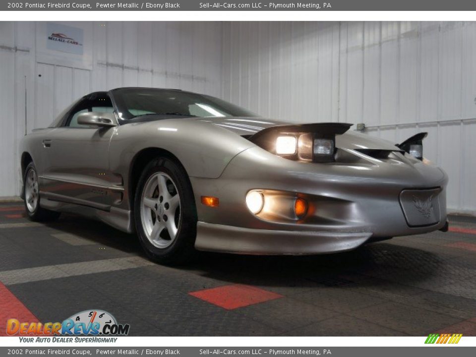 2002 Pontiac Firebird Coupe Pewter Metallic / Ebony Black Photo #5