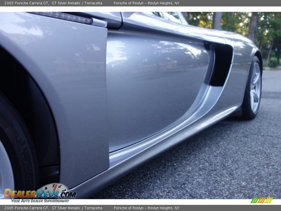 2005 Porsche Carrera GT GT Silver Metallic / Terracotta Photo #10