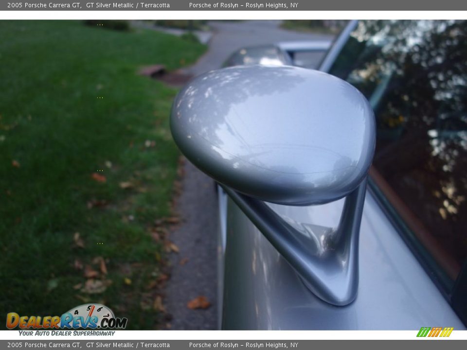 2005 Porsche Carrera GT GT Silver Metallic / Terracotta Photo #24