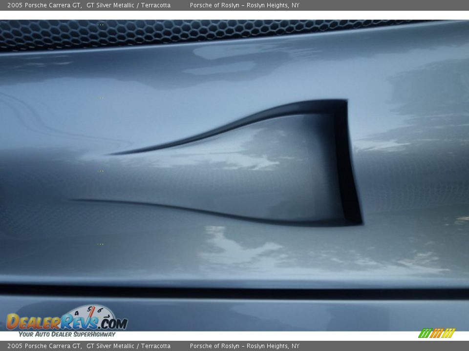 2005 Porsche Carrera GT GT Silver Metallic / Terracotta Photo #25