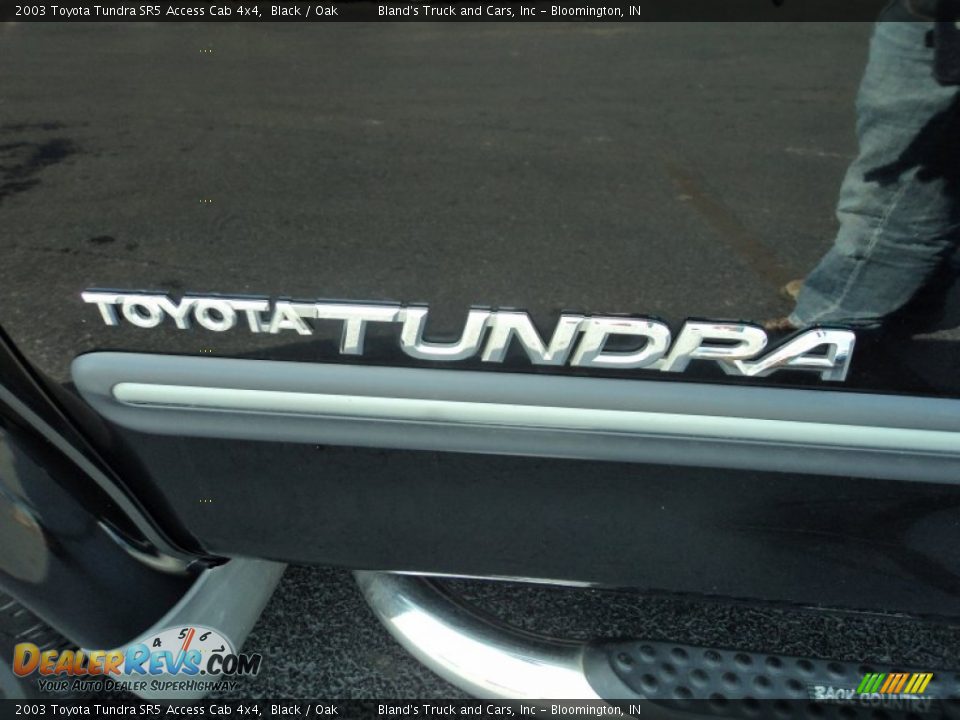 2003 Toyota Tundra SR5 Access Cab 4x4 Black / Oak Photo #26