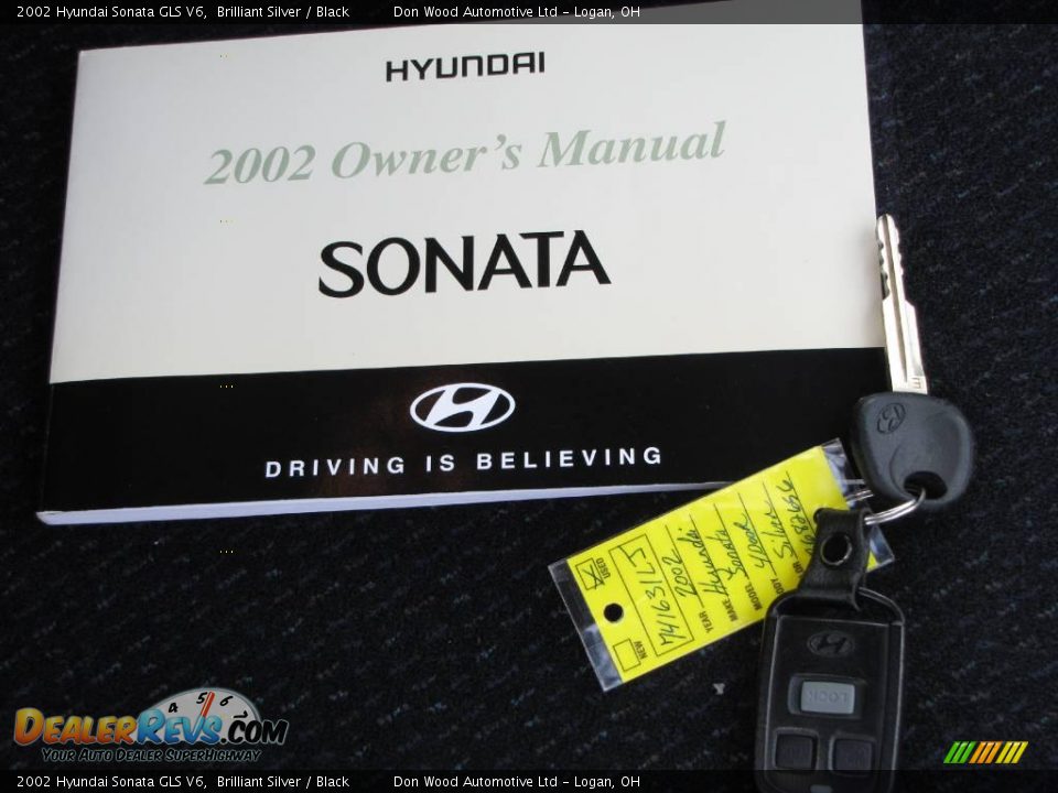 2002 Hyundai Sonata GLS V6 Brilliant Silver / Black Photo #19