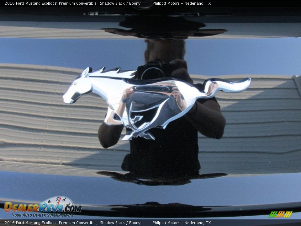 2016 Ford Mustang EcoBoost Premium Convertible Shadow Black / Ebony Photo #13