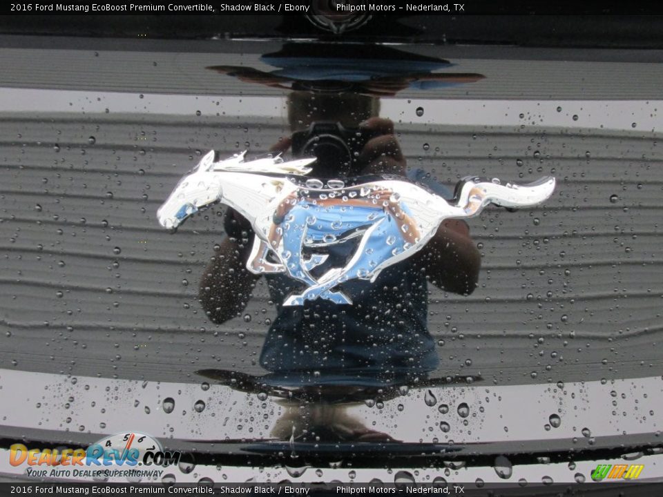 2016 Ford Mustang EcoBoost Premium Convertible Shadow Black / Ebony Photo #14