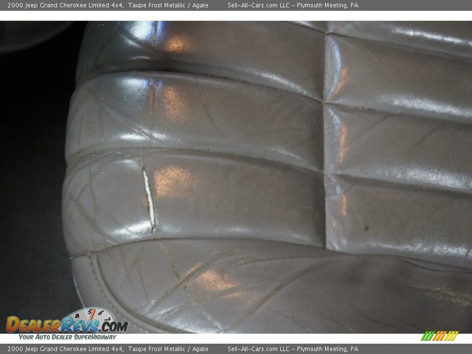 2000 Jeep Grand Cherokee Limited 4x4 Taupe Frost Metallic / Agate Photo #29