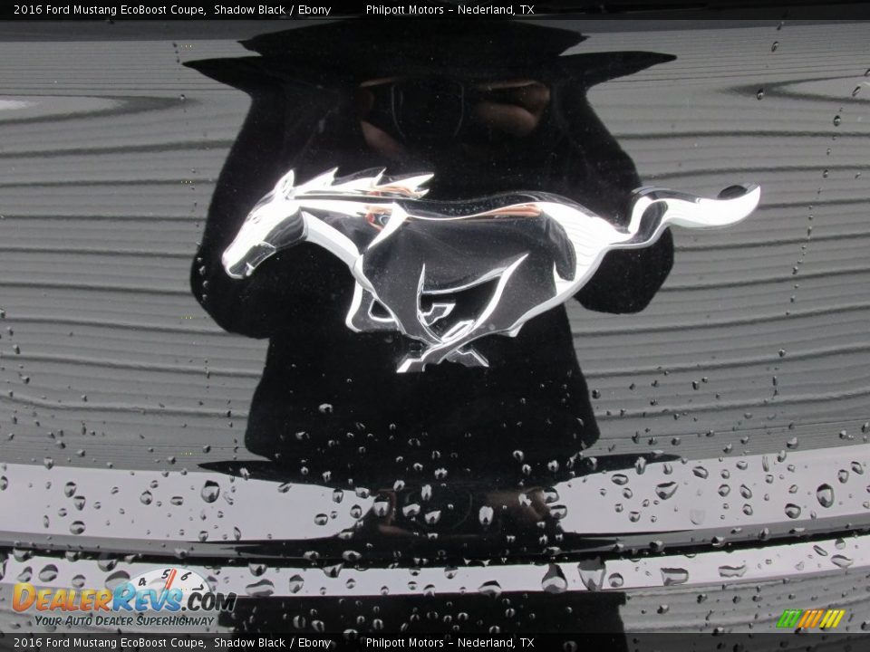 2016 Ford Mustang EcoBoost Coupe Logo Photo #14
