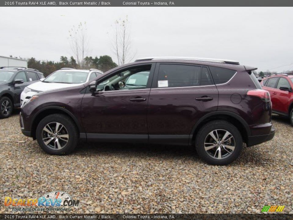 Black Currant Metallic 2016 Toyota RAV4 XLE AWD Photo #2