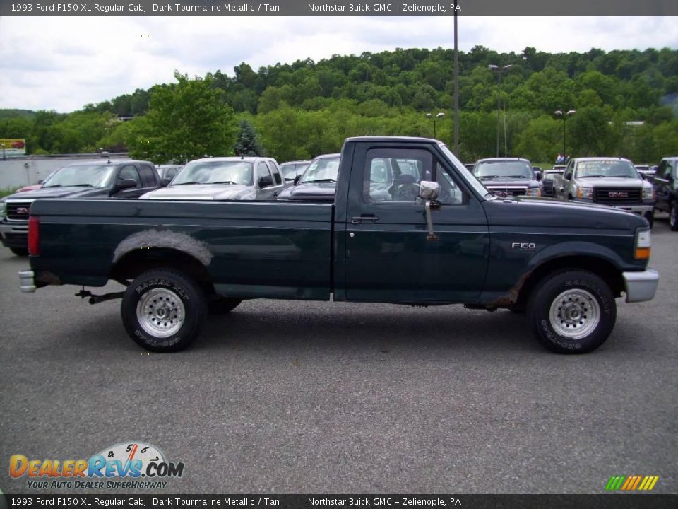 1993 Ford F150 XL Regular Cab Dark Tourmaline Metallic / Tan Photo #6