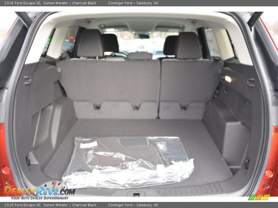 2016 Ford Escape SE Sunset Metallic / Charcoal Black Photo #10