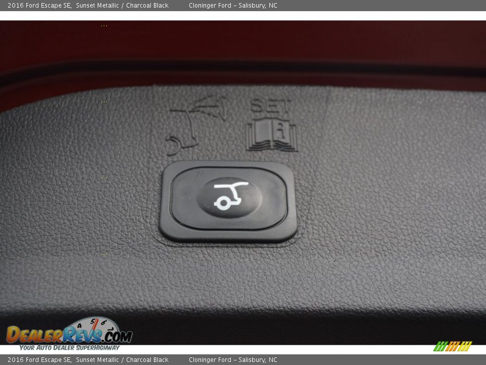 2016 Ford Escape SE Sunset Metallic / Charcoal Black Photo #11