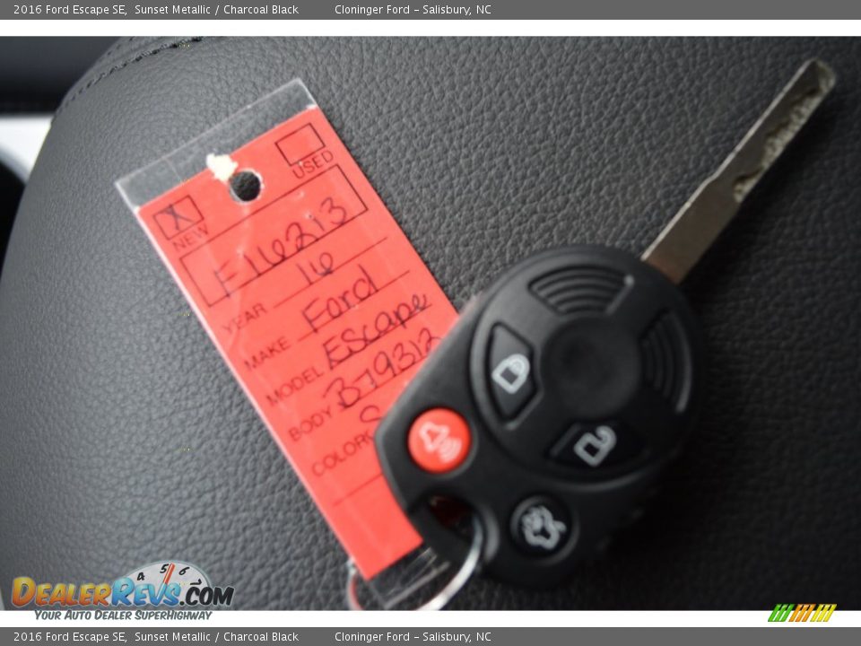 2016 Ford Escape SE Sunset Metallic / Charcoal Black Photo #22