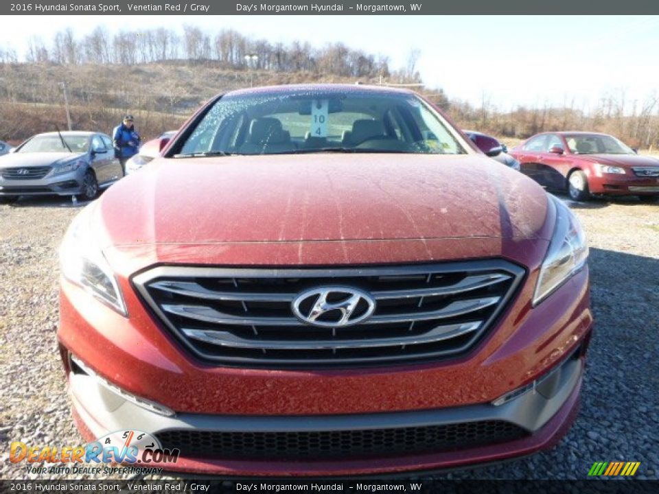 2016 Hyundai Sonata Sport Venetian Red / Gray Photo #12