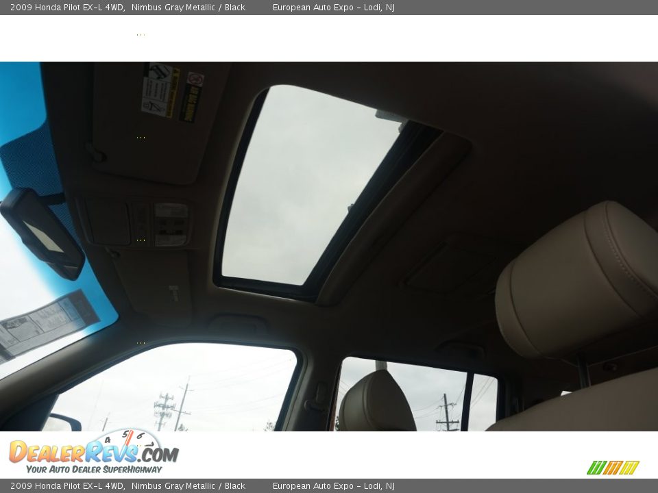 2009 Honda Pilot EX-L 4WD Nimbus Gray Metallic / Black Photo #34