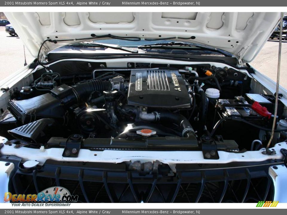 2001 Mitsubishi Montero Sport XLS 4x4 Alpine White / Gray Photo #23