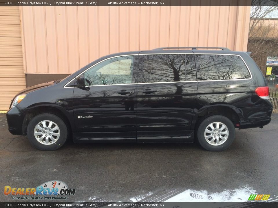 2010 Honda Odyssey EX-L Crystal Black Pearl / Gray Photo #6