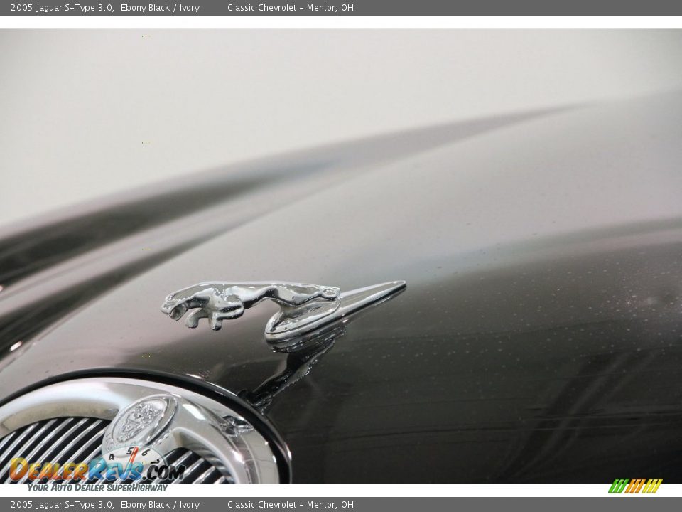 2005 Jaguar S-Type 3.0 Ebony Black / Ivory Photo #4
