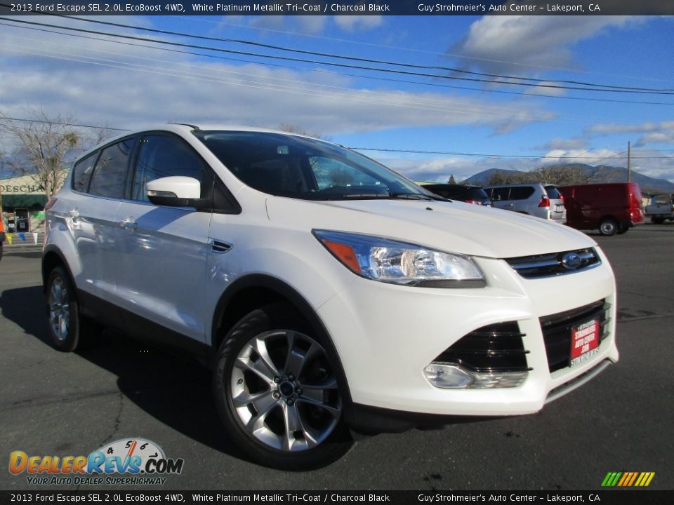 2013 Ford Escape SEL 2.0L EcoBoost 4WD White Platinum Metallic Tri-Coat / Charcoal Black Photo #1