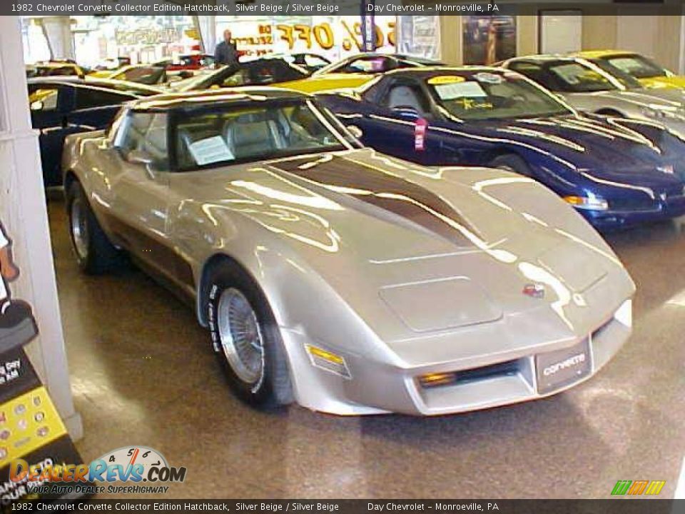 1982 Chevrolet Corvette Collector Edition Hatchback Silver Beige / Silver Beige Photo #3