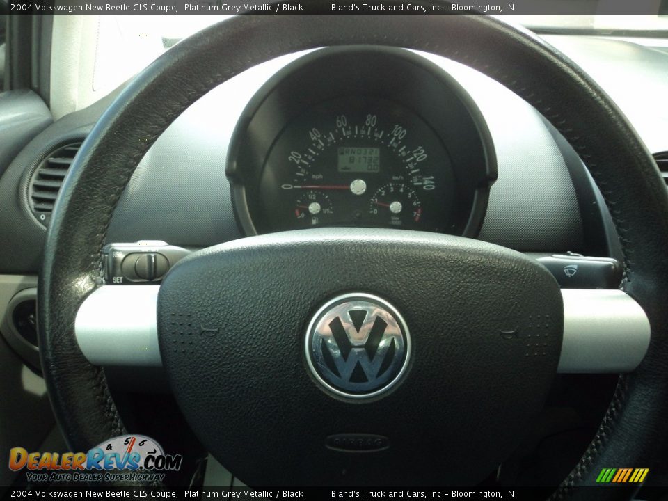 2004 Volkswagen New Beetle GLS Coupe Platinum Grey Metallic / Black Photo #10