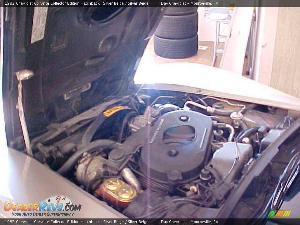 1982 Chevrolet Corvette Collector Edition Hatchback 350 cid OHV 16-Valve V8 Engine Photo #18