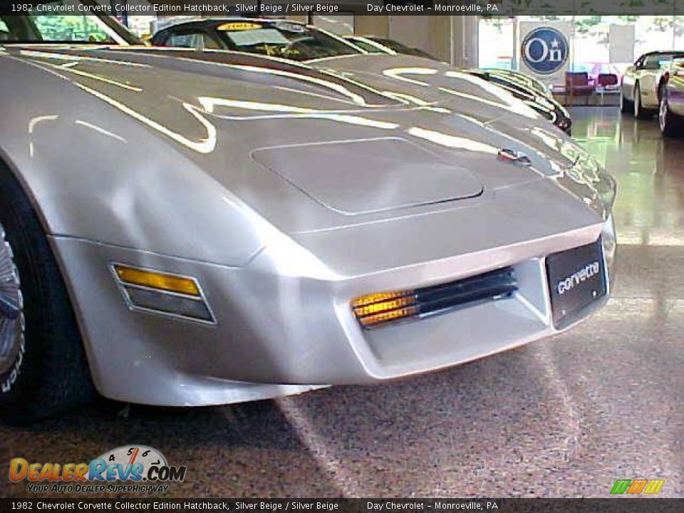 1982 Chevrolet Corvette Collector Edition Hatchback Silver Beige / Silver Beige Photo #22