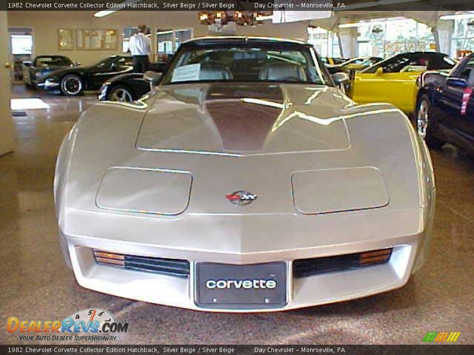 Silver Beige 1982 Chevrolet Corvette Collector Edition Hatchback Photo #26