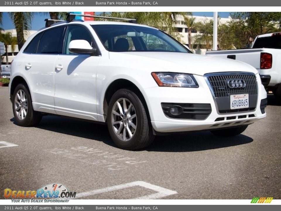 2011 Audi Q5 2.0T quattro Ibis White / Black Photo #1