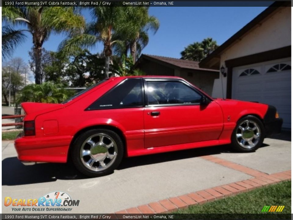 1993 Ford Mustang SVT Cobra Fastback Bright Red / Grey Photo #1