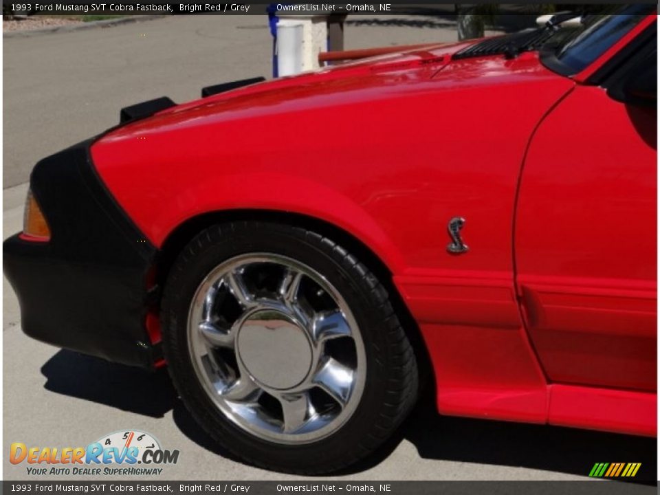 1993 Ford Mustang SVT Cobra Fastback Bright Red / Grey Photo #2