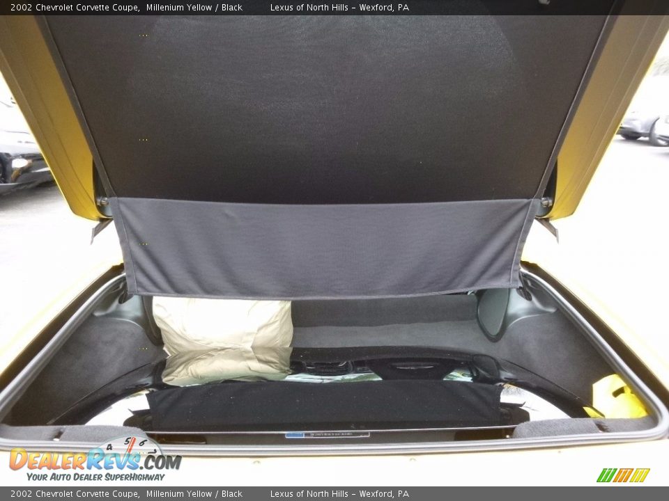 2002 Chevrolet Corvette Coupe Millenium Yellow / Black Photo #8