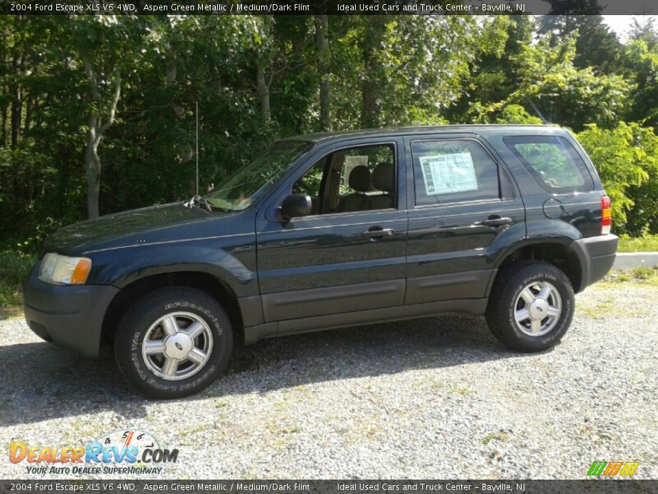 2004 Ford Escape XLS V6 4WD Aspen Green Metallic / Medium/Dark Flint Photo #8
