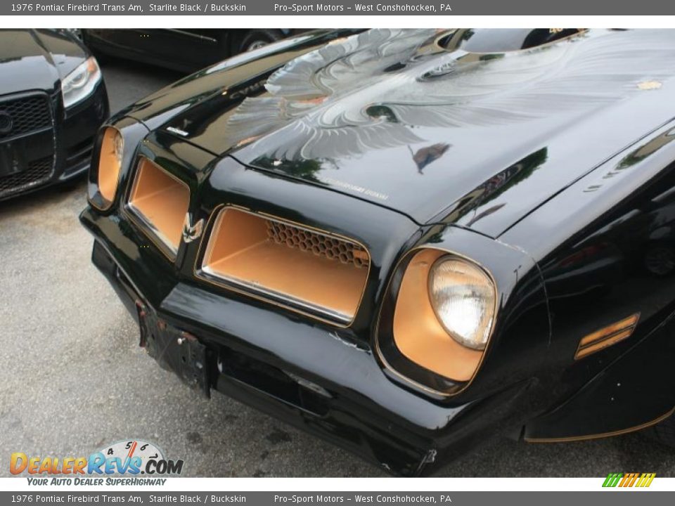 1976 Pontiac Firebird Trans Am Starlite Black / Buckskin Photo #5