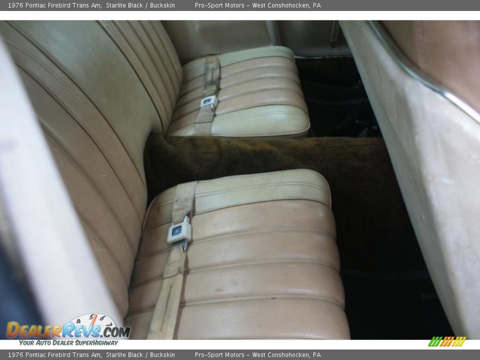 Rear Seat of 1976 Pontiac Firebird Trans Am Photo #22